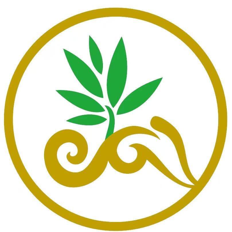 山西王宾中.药.材