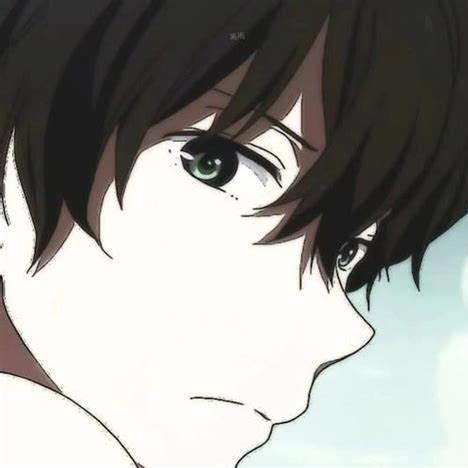 温柔的风Zll的直播号