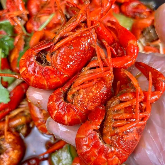 马杰《虾烤官龙虾》