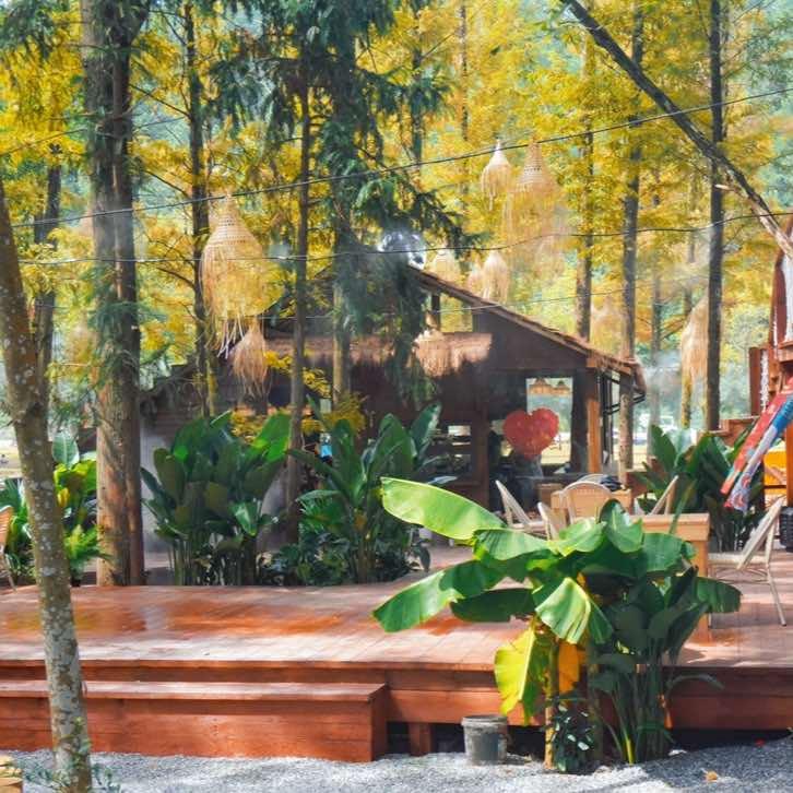 九井口森林咖啡馆（上清分店）