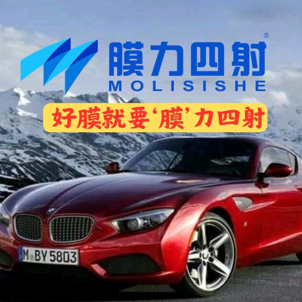 膜力四射汽车贴膜·临朐俊嘉