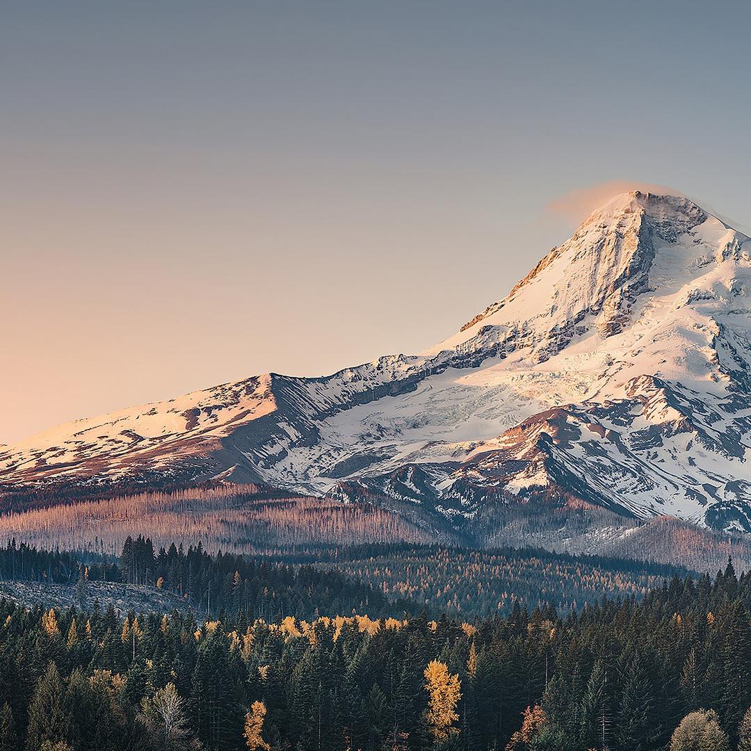 兔喜生活(栗坪社区店)直播号
