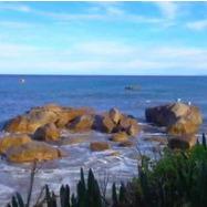 小涵-瑞柒思教育科技