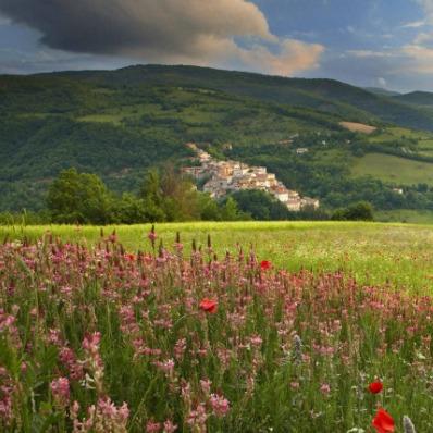 万宁市宏邈忠日用鸿雁直播号