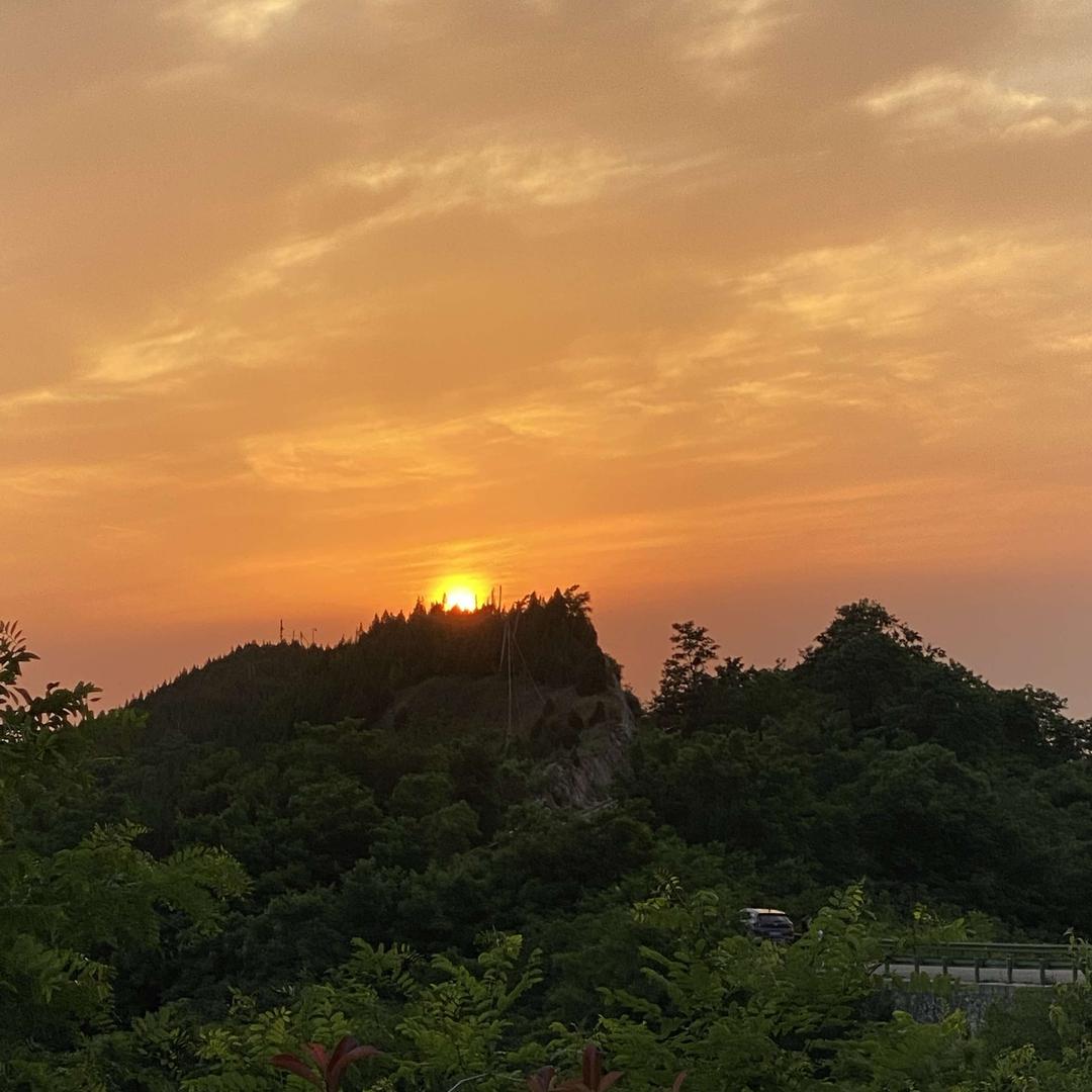 云集的小掌柜