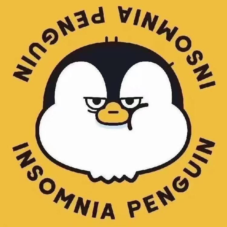 失眠企鹅精酿啤酒(五一广场店)