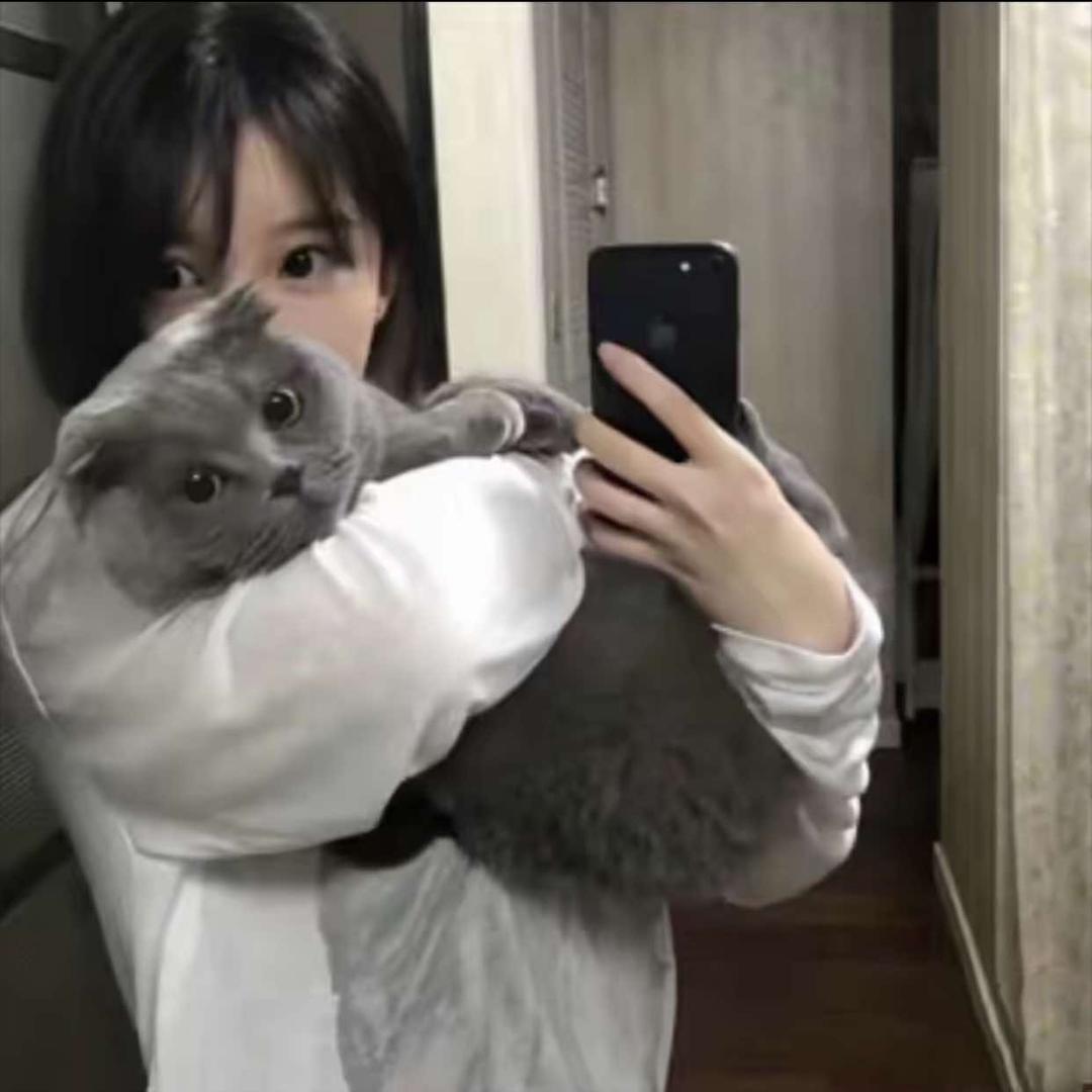 泡泡糖🔆