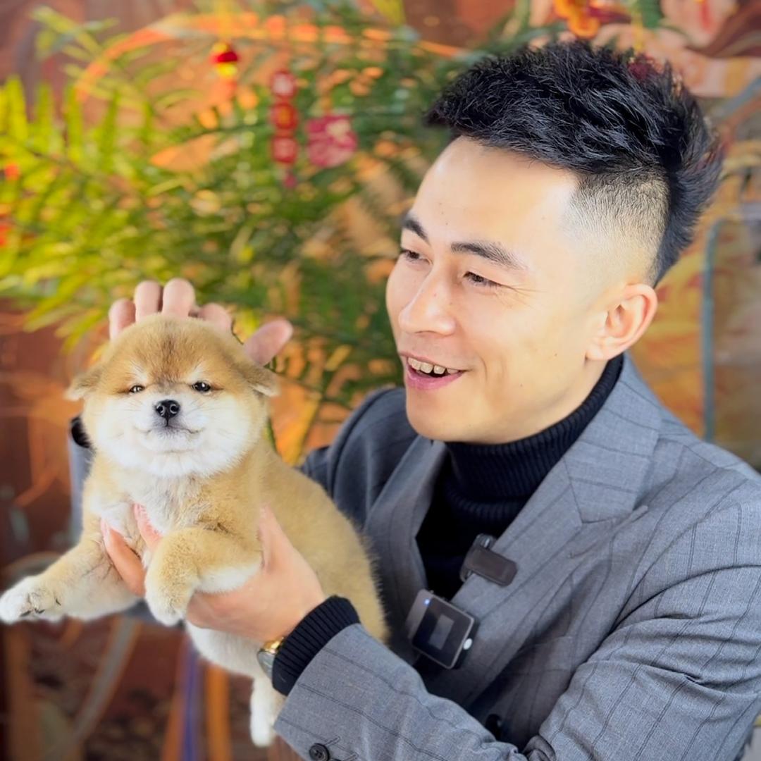 金麟柴犬—直播号
