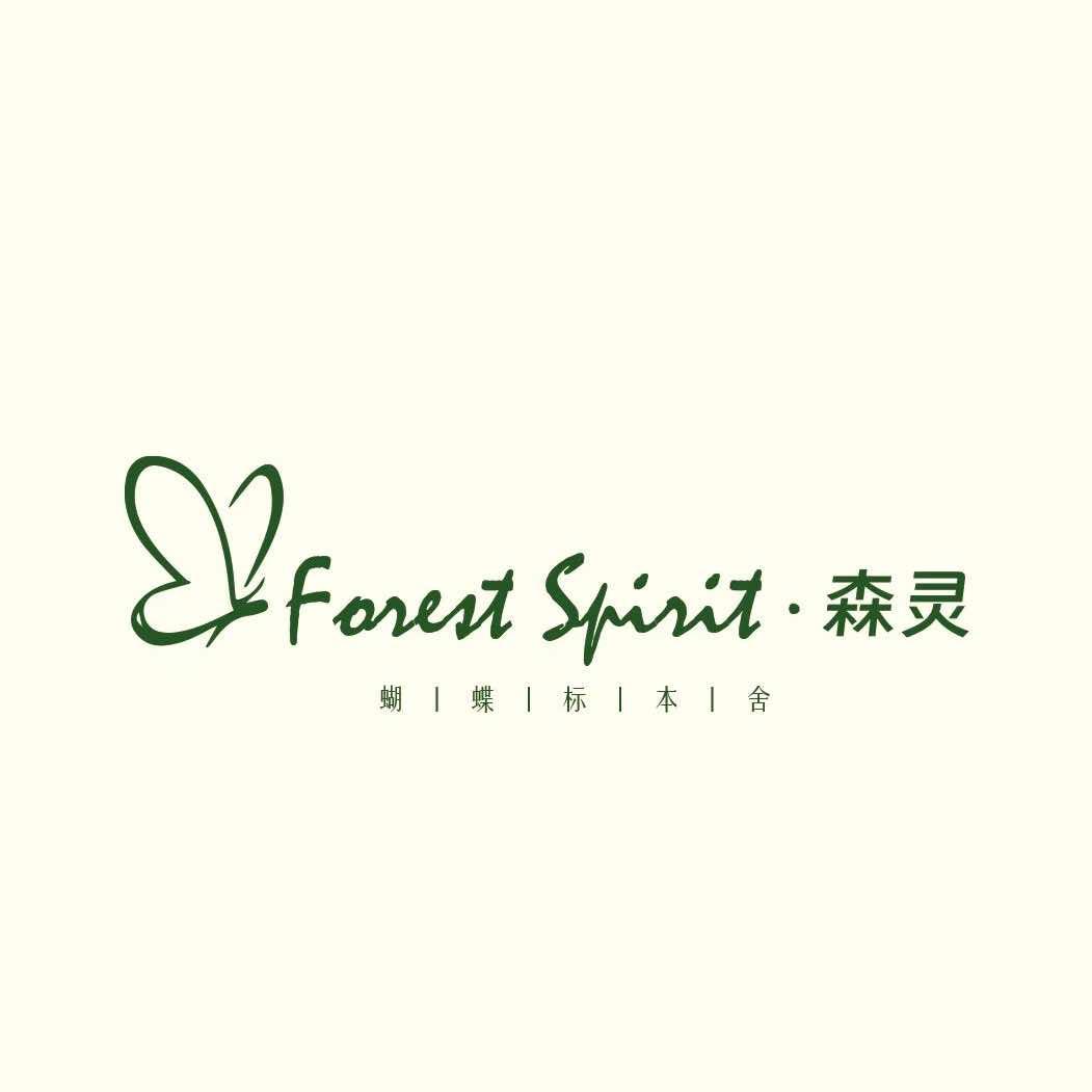 森灵蝴蝶标本