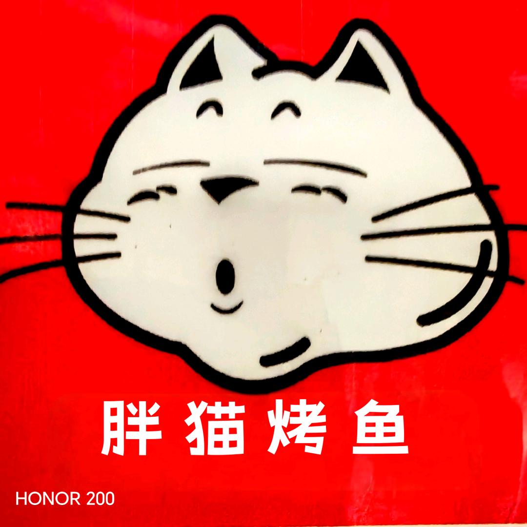 胖猫烤鱼（瓜州）