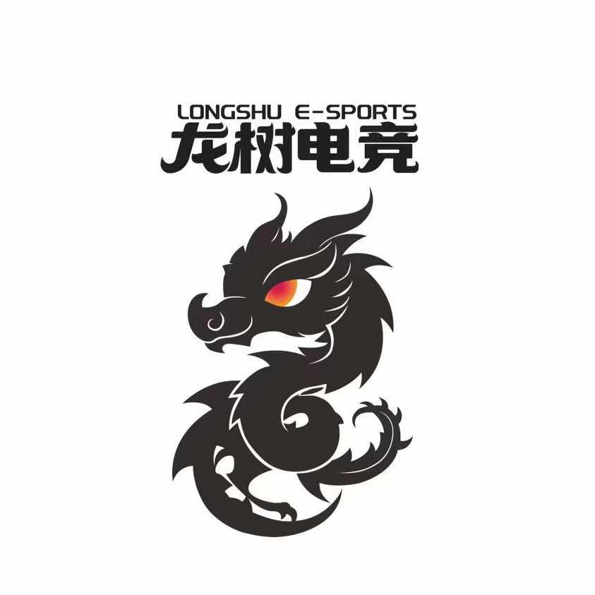 龙树电竞宾王店