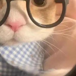 可可乐乐直播号