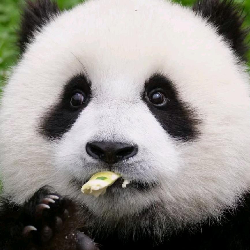 全友家居(大兴区康宁园家具城店)专用号