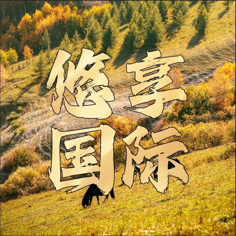 承德悠享国际旅行社有限公司