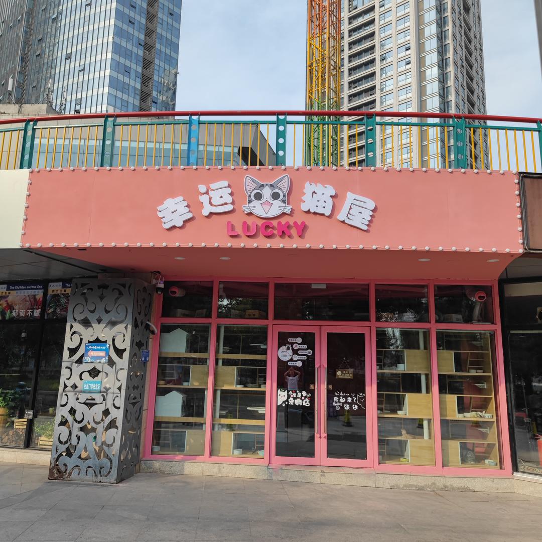 奎文区幸运猫屋宠物生活馆