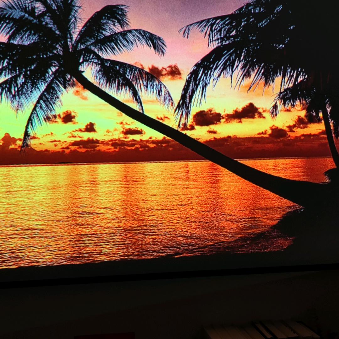 忘忧共醉小酒馆官方号