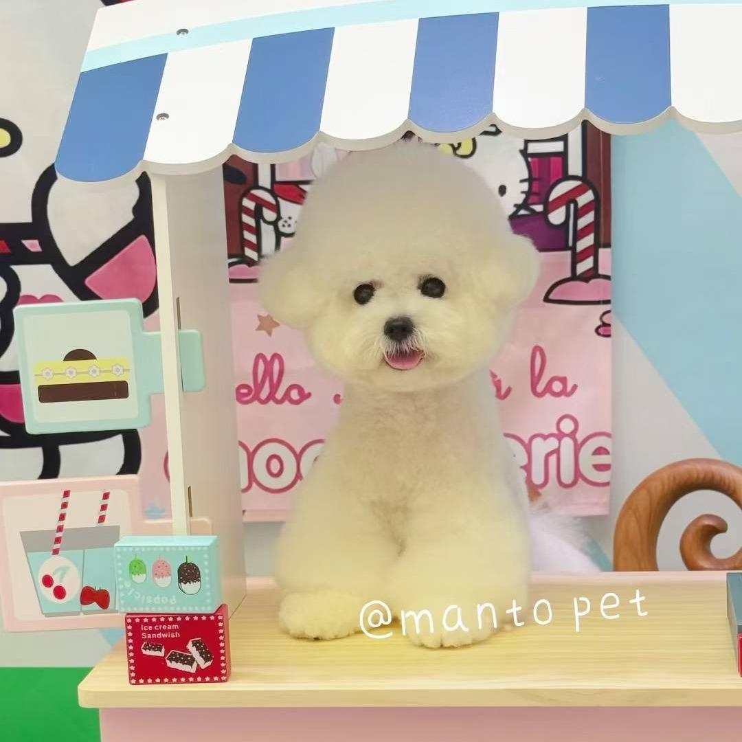 超级伴侣宠物店官方号