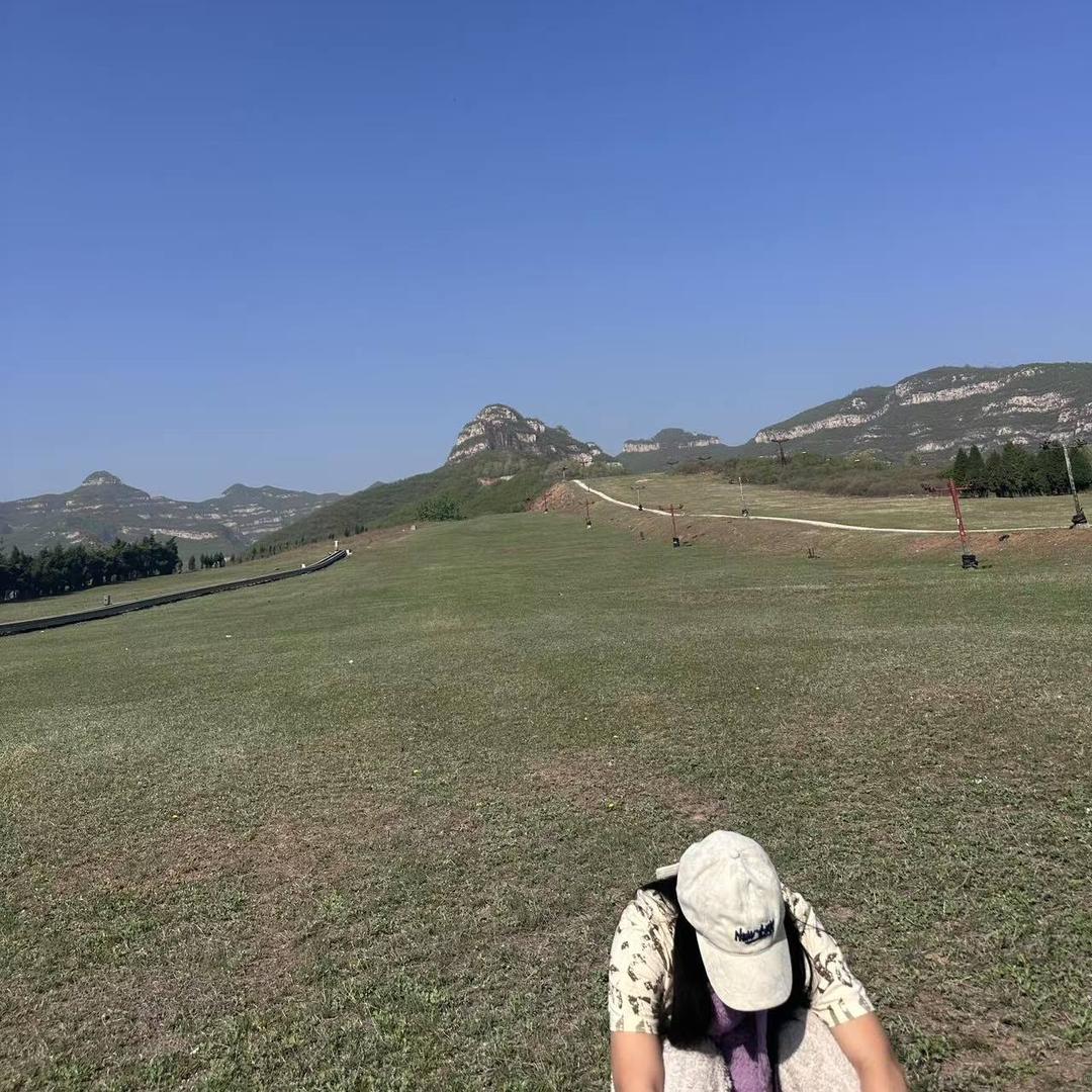 大义熊推广五号