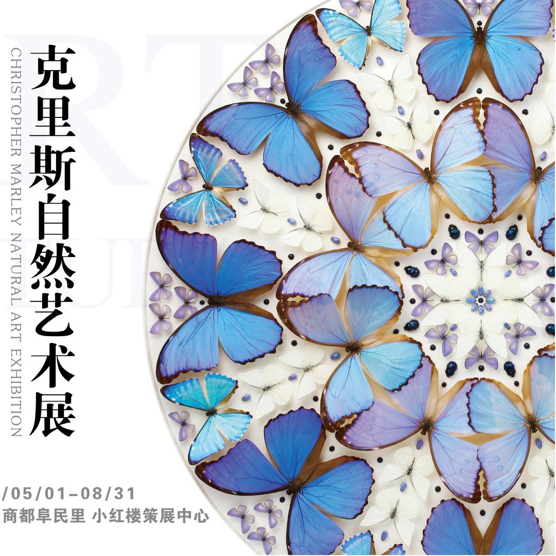 生物重生·克里斯自然艺术展-凤凰元年