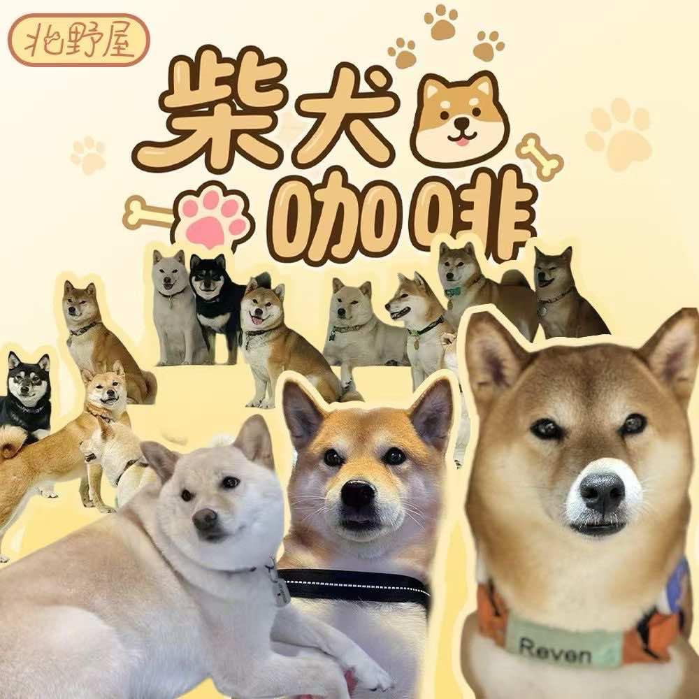 北野屋柴犬咖啡厅（韩乐坊店）在二楼