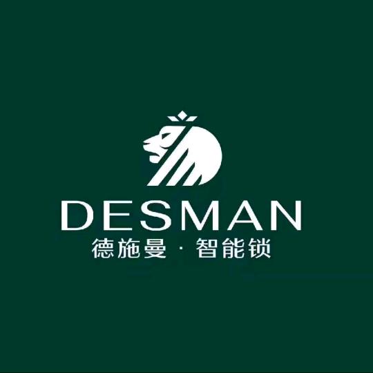 德施曼智能锁(滁州弘阳家居世贸店)