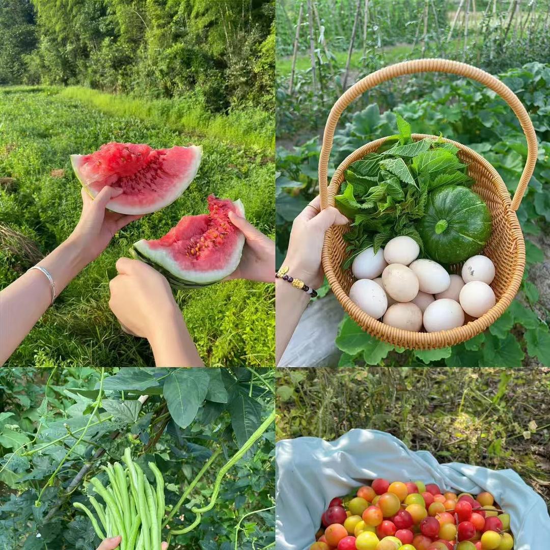 三号广州驰邻咨询有限公司直播号