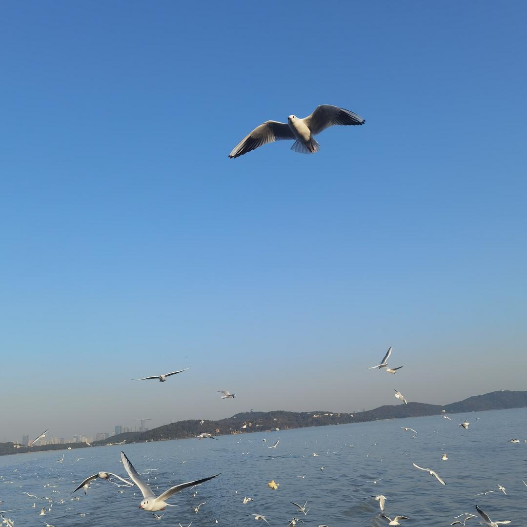 十足便利店莉姐十足