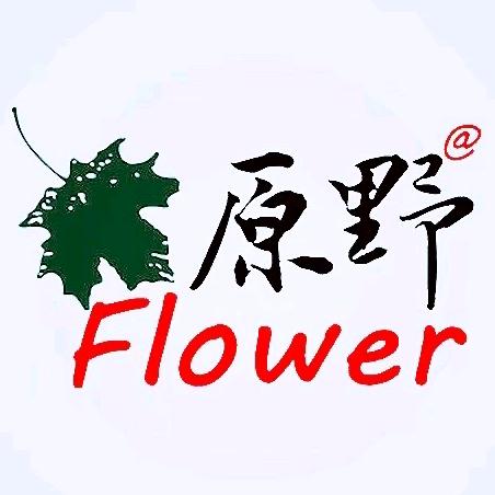 淄博原野鲜花店