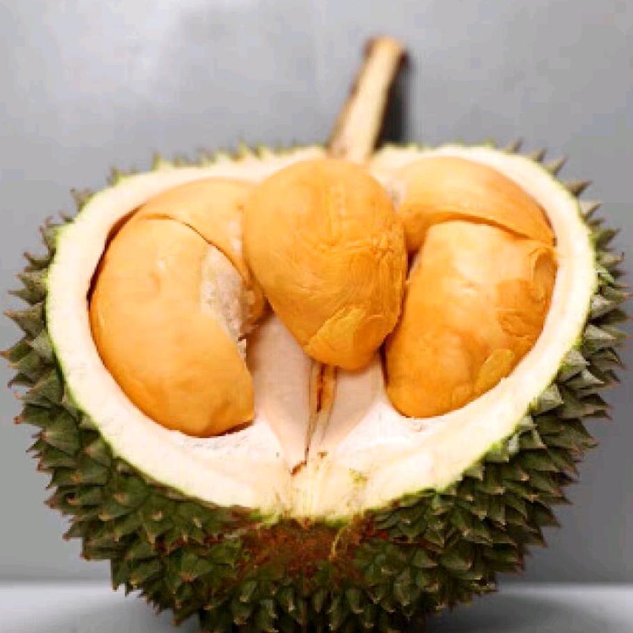 马来禹润黑刺榴莲