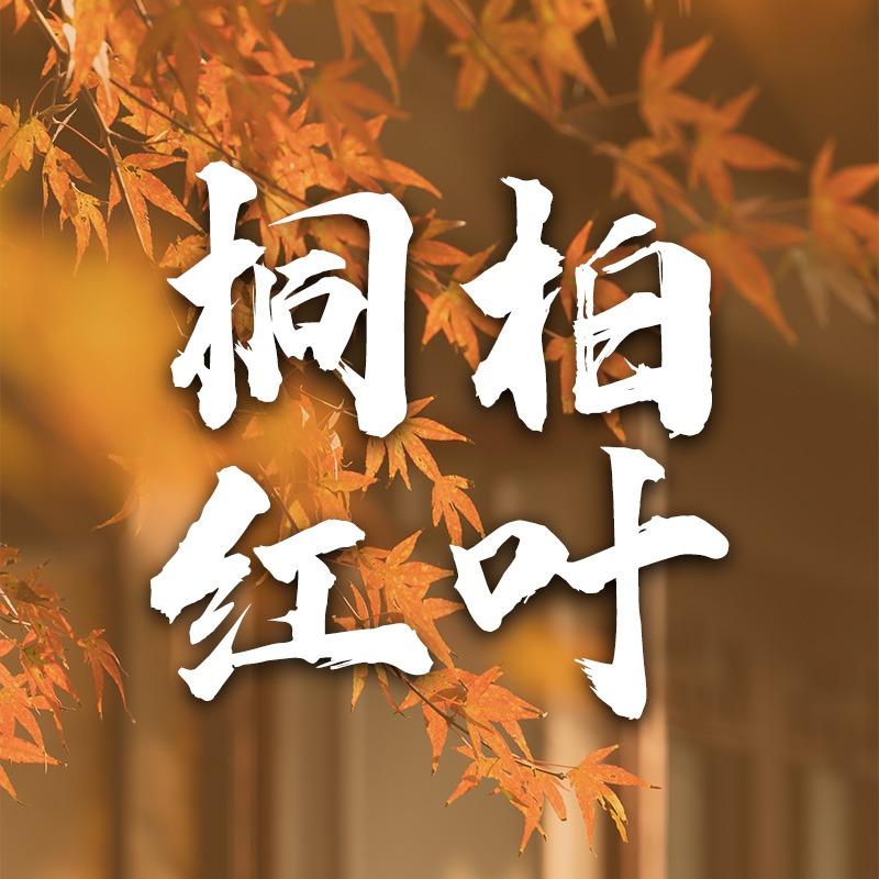光头哥 王 伟