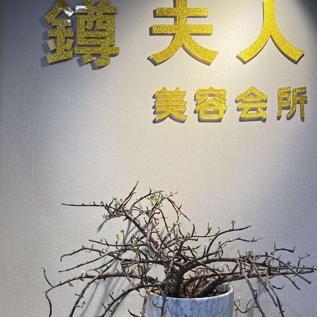 尊夫人美容会所官方号