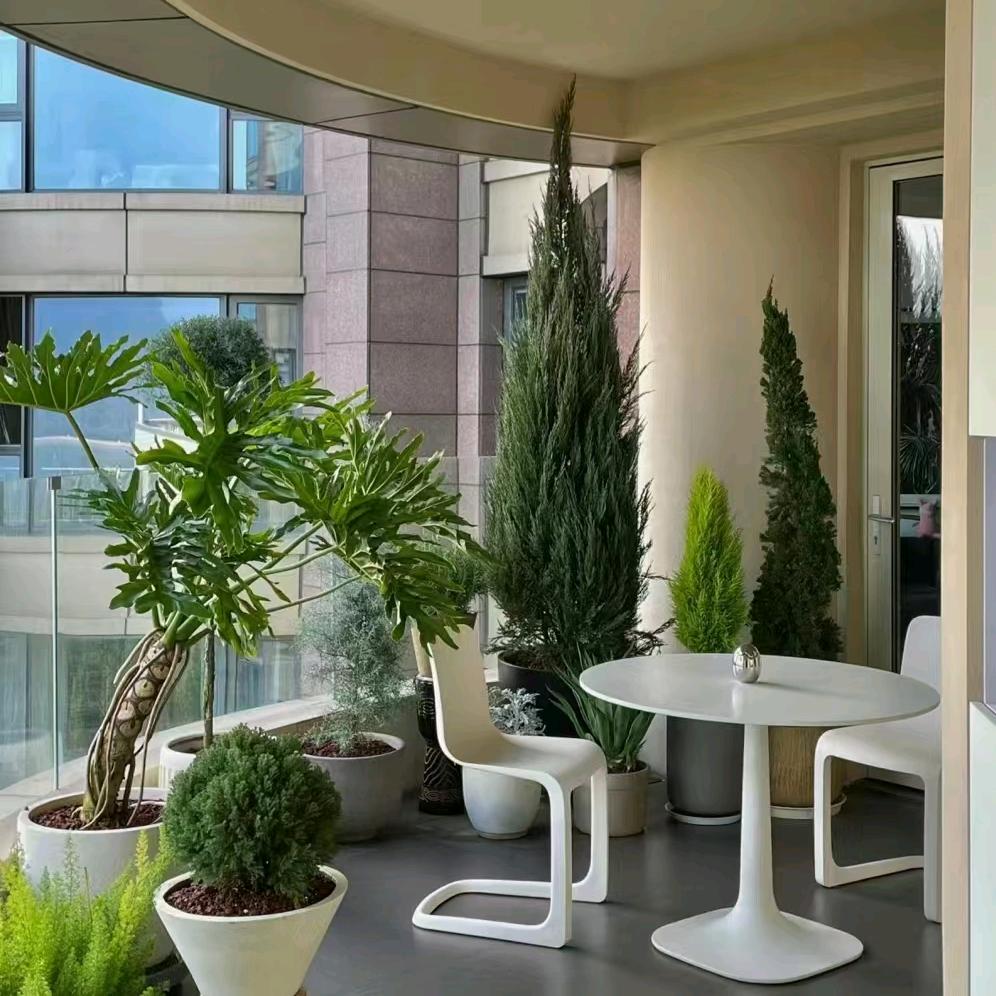 深圳市几何花世界绿植盆栽租售定制配送上门