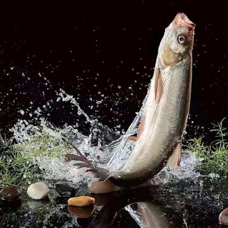 楚鲜·汉正街一号