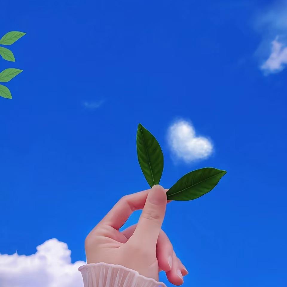 航宸戴氏郭刚直播号