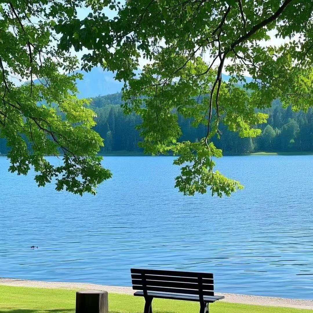 一号合肥市前寨网络科技直播号