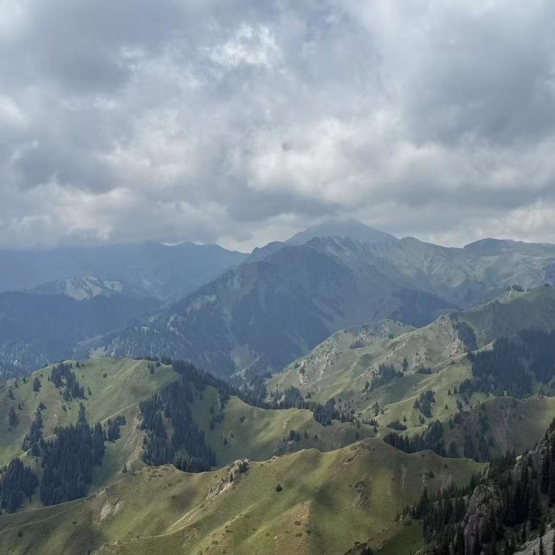 赵汉筑洁宠粉号