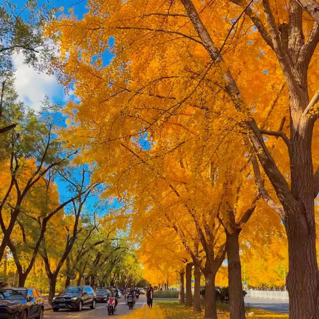 小钟吉安市井开区革水商贸有限公司
