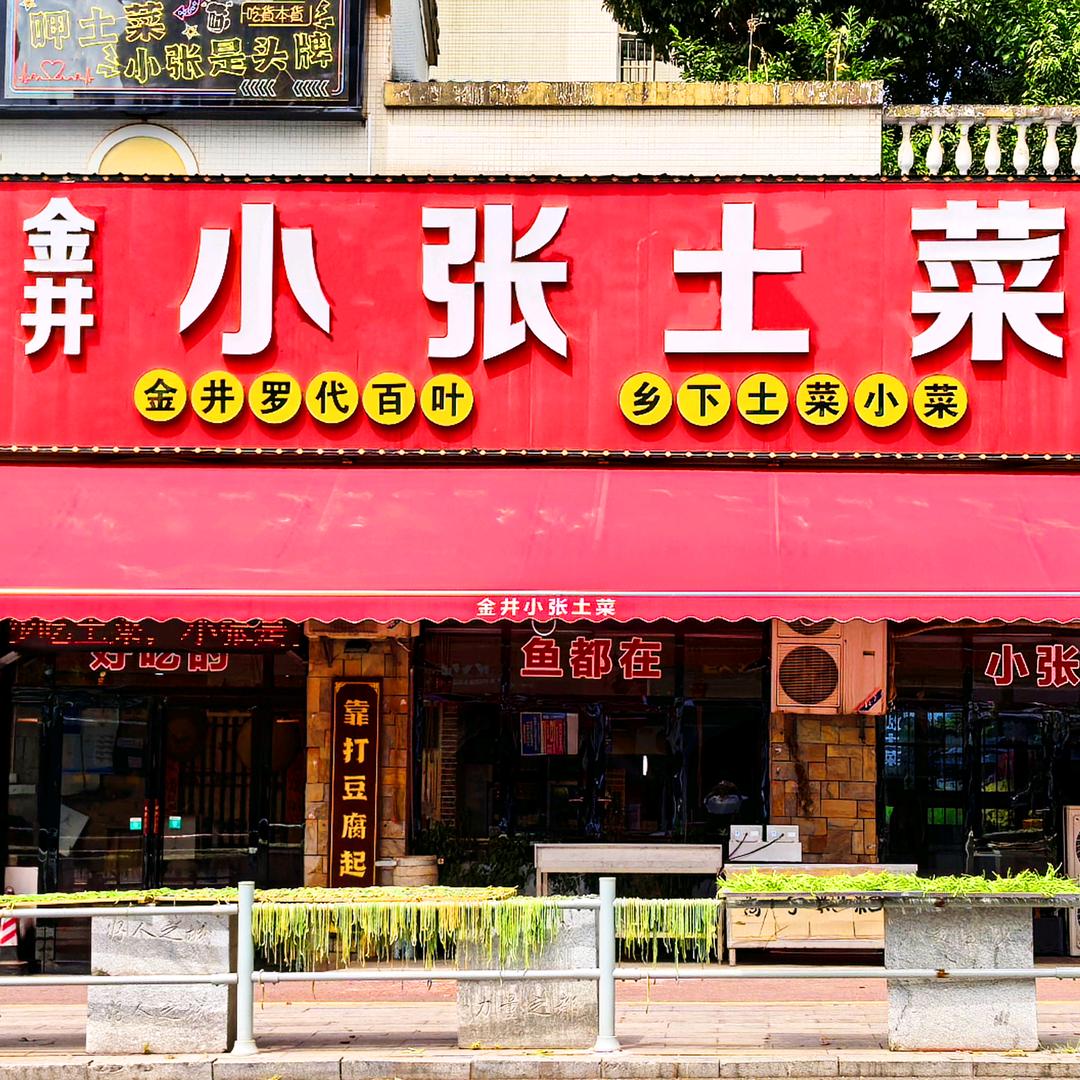 金井小张土菜
