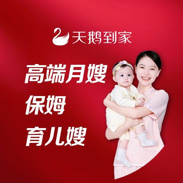 天鹅到家月嫂|月嫂|保姆|可报价