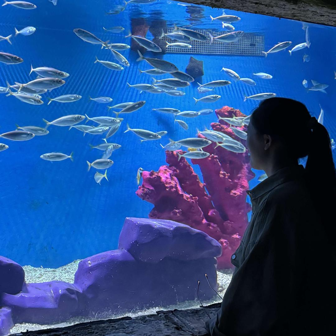 馨卡莫花艺