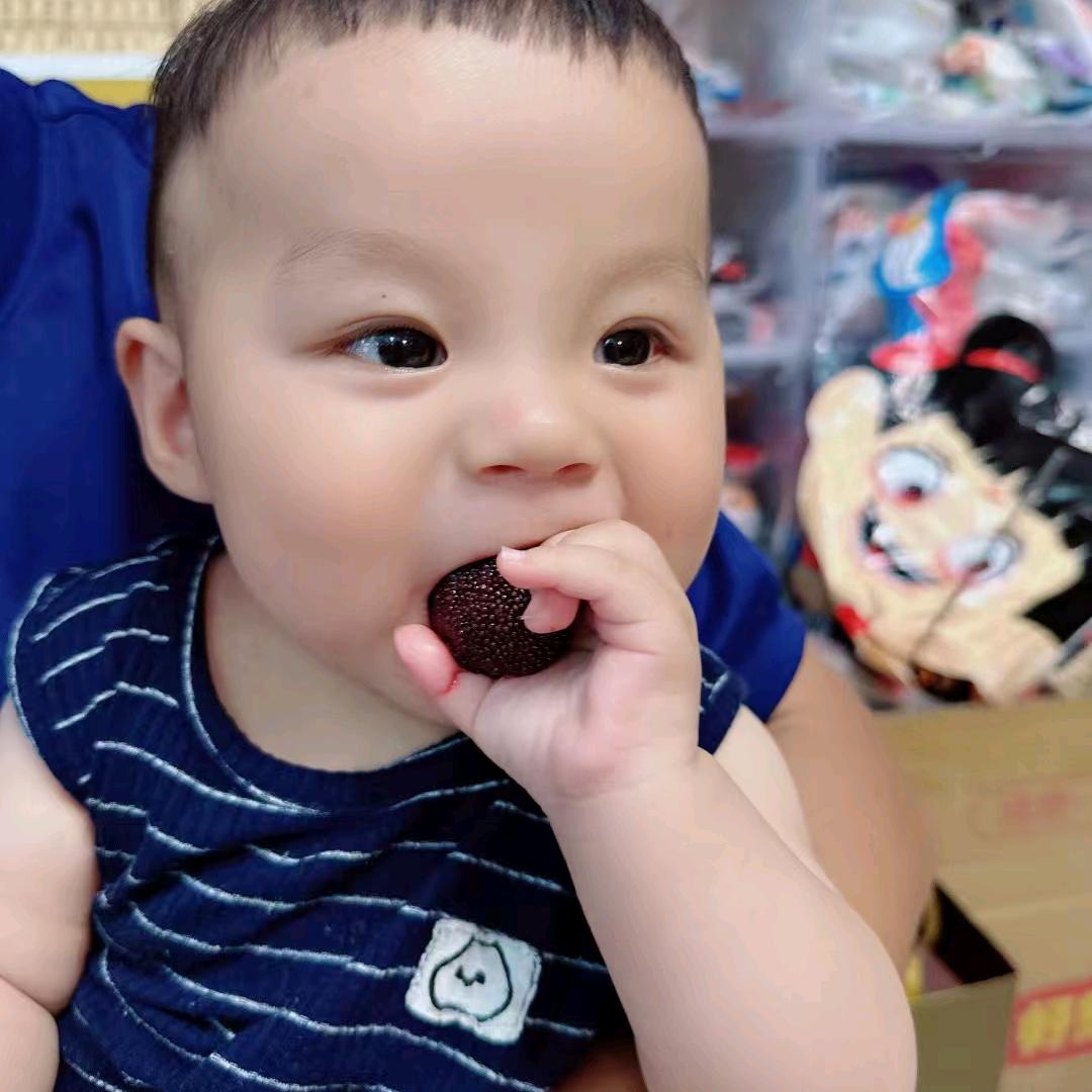 仙居伟庆杨梅合作社