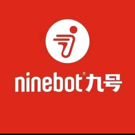 九号电动车(宁都龙溪湾南路店)