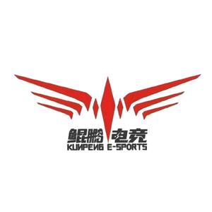丽江鲲鹏电竞