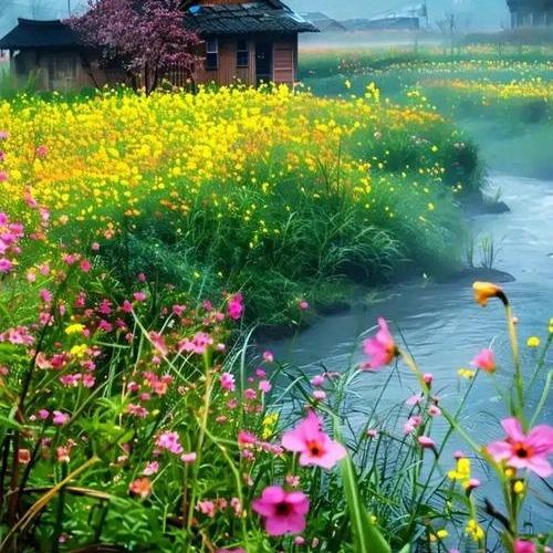 东山再起3直播号