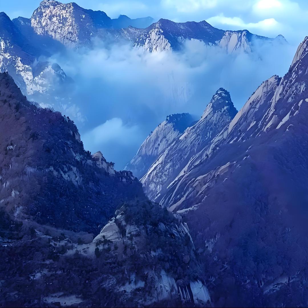 爱玩网络直播号