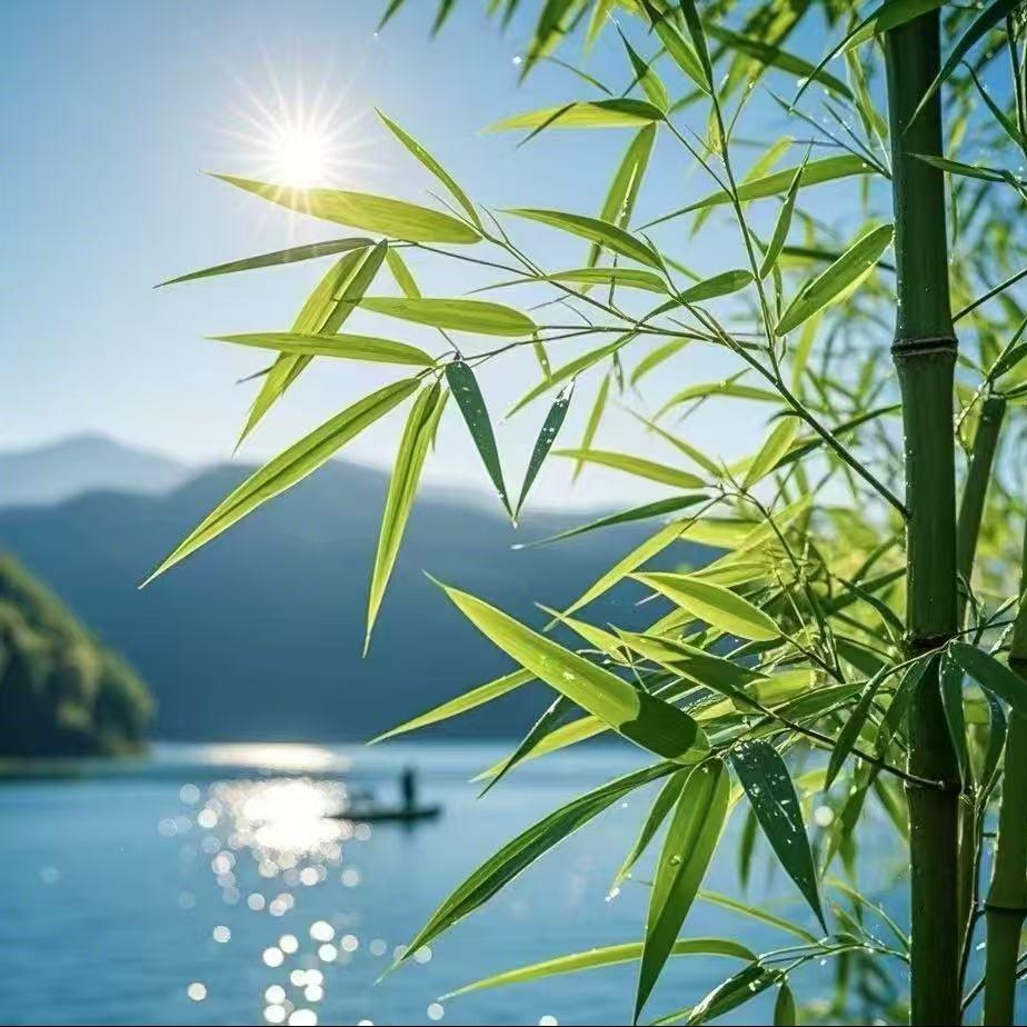 丹知道直播号