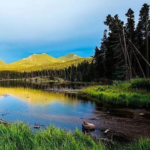 广州序幻商贸都是直播号