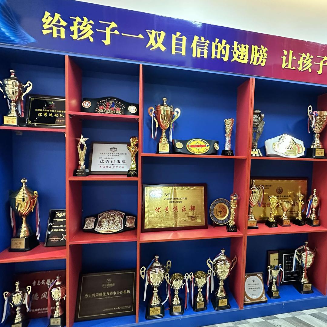 金鹰综合格斗•拳击•自由搏击（平度店）总