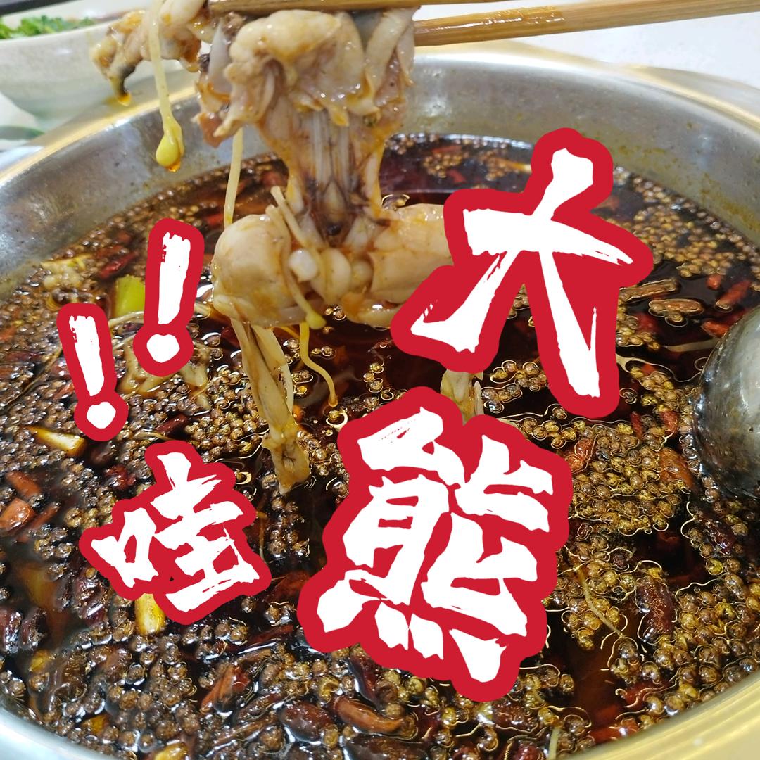 大熊美蛙鱼