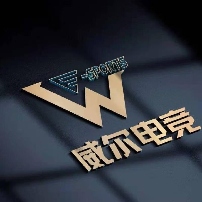 威尔电竞(坪洲店)